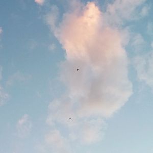 Low angle view of airplane flying in sky