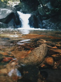 Scenic view of waterfall