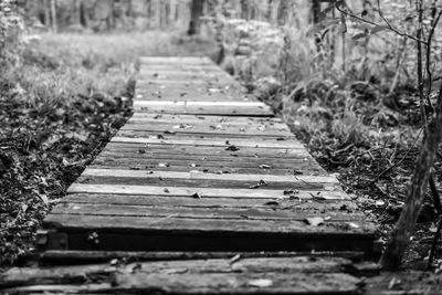 Empty boardwalk in public park