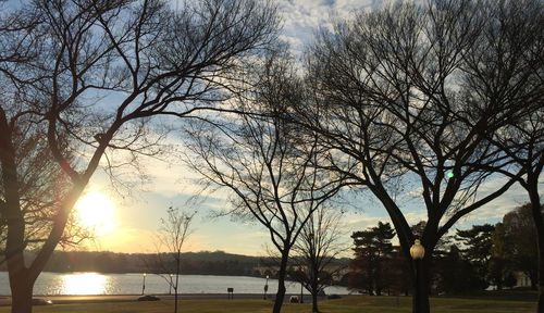 Silhouette bare trees by plants against sky during sunset