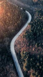 High angle view of road amidst trees