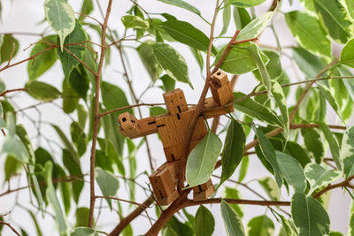 Low angle view of bird perching on tree