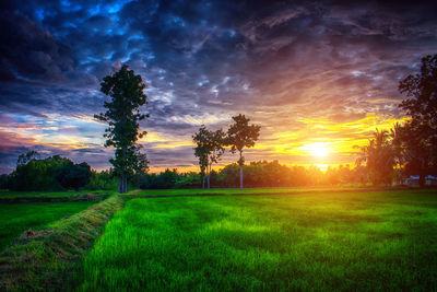 Scenic view of field against sky during sunset