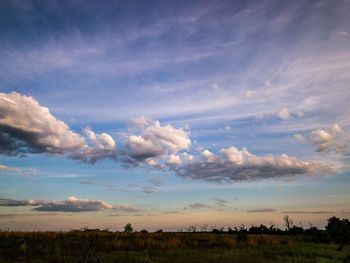 Scenic view of field against sky during sunset