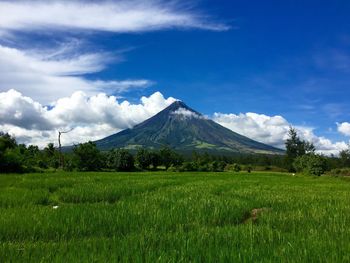 Scenic view of landscape against sky