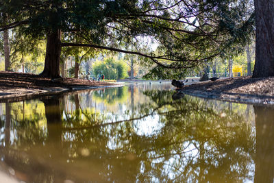 Scenic view of lake