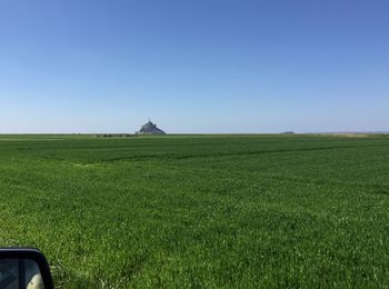 Scenic view of agricultural field against clear sky