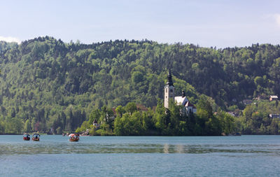 Scenic view of lake against trees