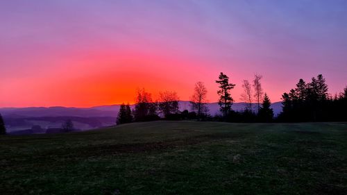 Silhouette trees on field against sky during sunset