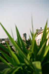 Cityscape against clear sky