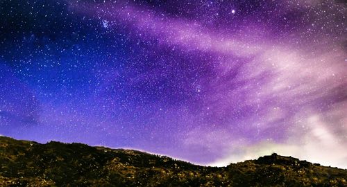 Low angle view of trees on mountain against star field