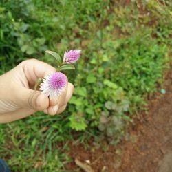 Close-up of hand holding flower