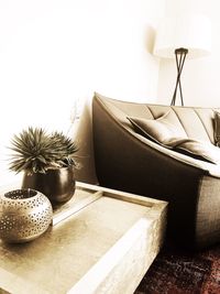 Potted plants