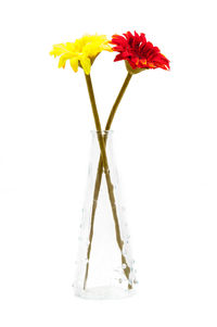 Close-up of flower vase against white background