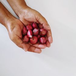 Close-up of hand holding berries over white background