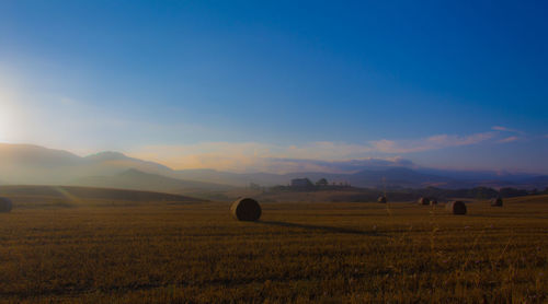 Scenic view of field against sky