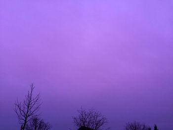 Low angle view of silhouette trees against clear sky