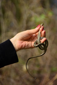 Woman holding snake in hand with blurred background