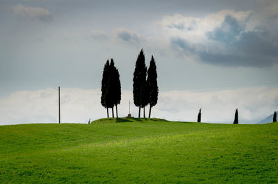 Iconic view of tuscany country