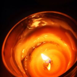 Close-up of orange over black background