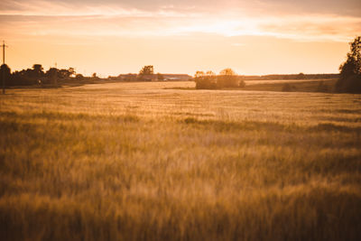 Scenic view of field against sky during sunset