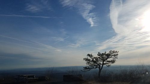 Scenic view of tree against sky