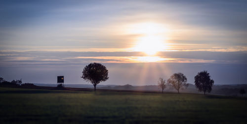 Silhouette trees on field against sky at sunset