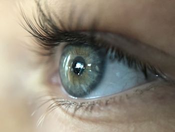 Close-up portrait of woman eye