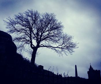 Low angle view of silhouette tree against sky