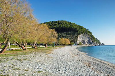 Scenic view of sea against clear sky during autumn