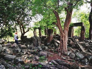 Man standing by tree trunk in forest