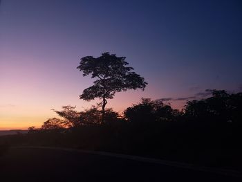 Silhouette trees against sky during sunset