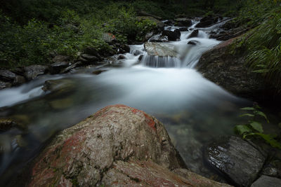 Stream flowing through rocks in forest