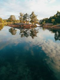 Reflection of trees in water