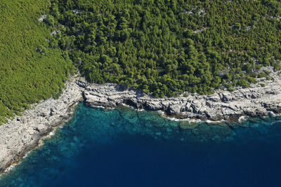 Coastline of the mljet island, adriatic sea, croatia