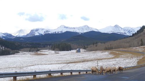 Scenic view of snowcapped mountains against sky