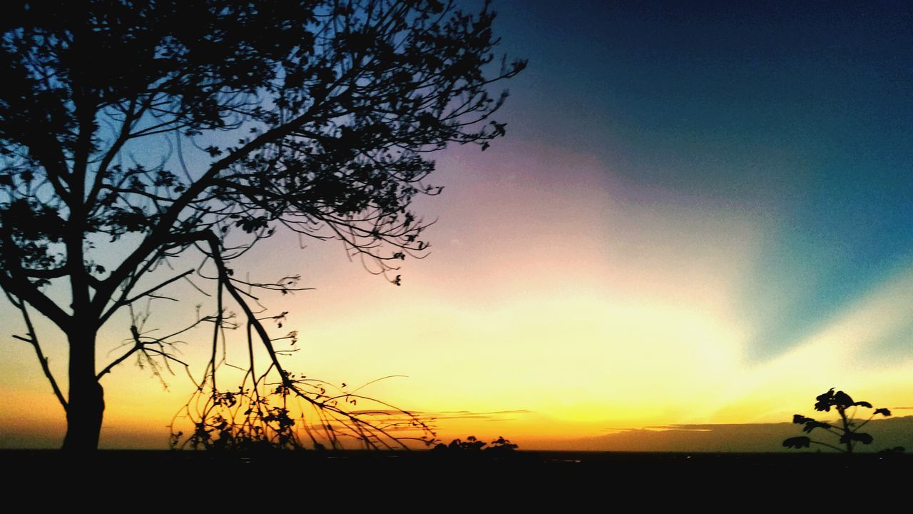 sunset, silhouette, tranquil scene, tranquility, sky, scenics, beauty in nature, landscape, tree, nature, orange color, idyllic, field, bare tree, sun, non-urban scene, outdoors, branch, cloud, sunlight