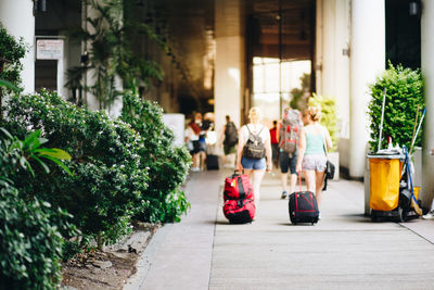 People walking on street amidst potted plants