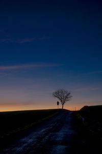 Silhouette of lonely tree on ridge at sunset