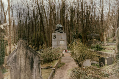 Footpath amidst trees in forest