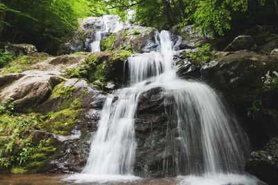 Scenic view of waterfall in forest