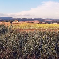 Scenic view of landscape against sky during sunset