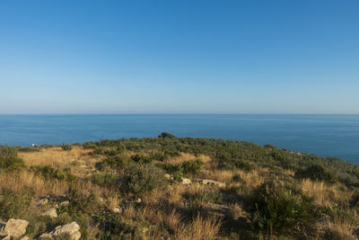 Scenic view of sea against clear blue sky