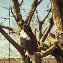 Bird perching on branch