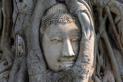 Close-up of buddha statue