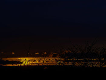 Silhouette trees on field against sky at night