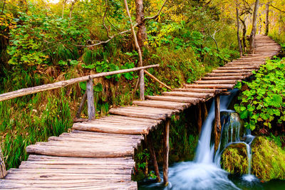 Footbridge over footpath amidst trees in forest