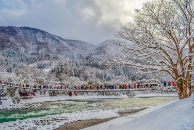 Bare trees by snow covered mountains against sky