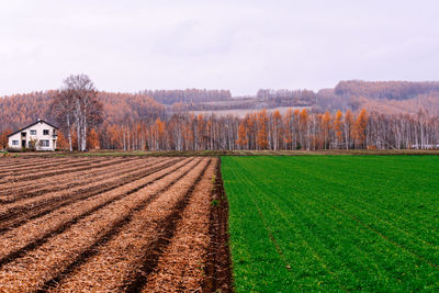 Scenic view of agricultural field against sky