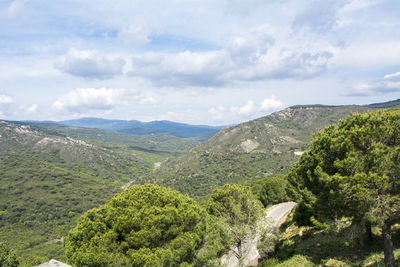 environment